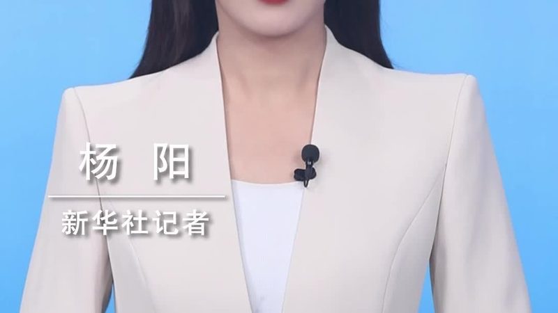 数字孪生软件开发的成本构成解析